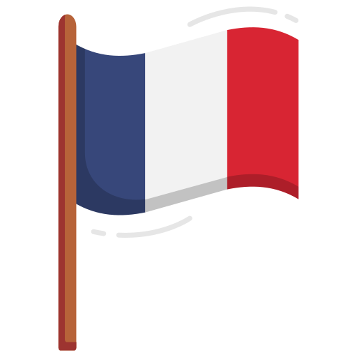 French and related exam preparation (DELF/DALF/TEF/TCF)
